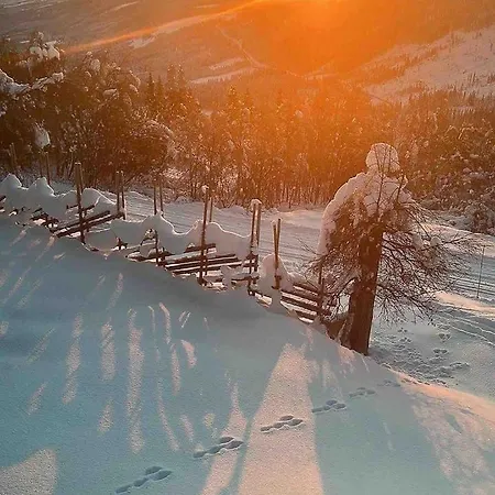 Traditional With View At Slettefjell Tatil Evi Ryfoss