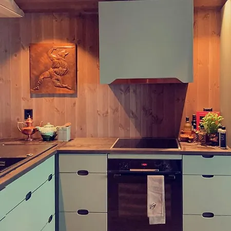 Traditional With View At Slettefjell Tatil Evi Ryfoss